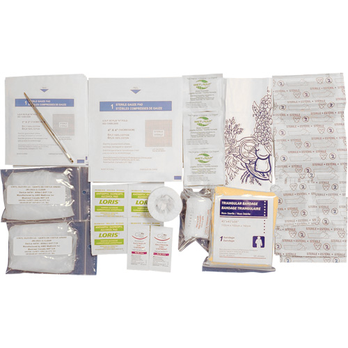 Recharge pour trousse de premiers soins Shield, R&eacute;pond &agrave; la norme CSA Z1220-17 type 1 individuelle, Personnel (1 travailleur) Distribution Élite MP