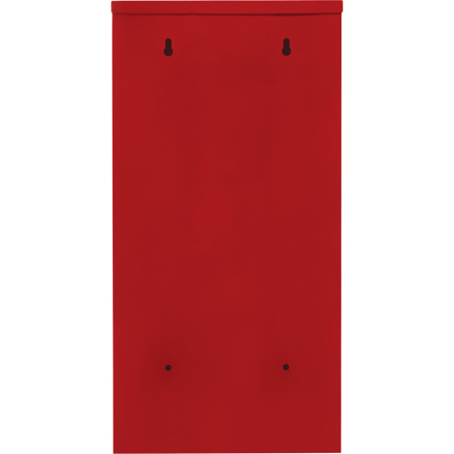 Armoires ext&eacute;rieures robustes pour extincteurs, 14" la x 28" h x 10" p Distribution Élite MP