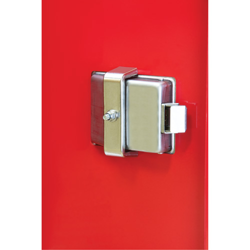 Armoires ext&eacute;rieures robustes pour extincteurs, 14" la x 28" h x 10" p Distribution Élite MP