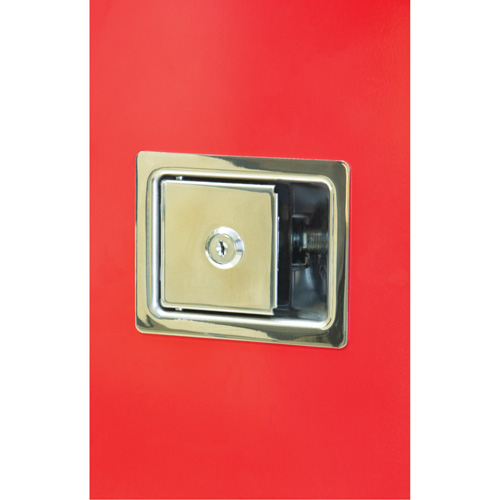 Armoires ext&eacute;rieures robustes pour extincteurs, 14" la x 28" h x 10" p Distribution Élite MP