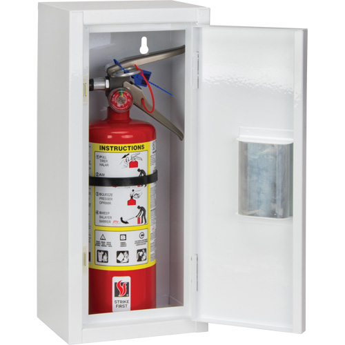 Armoire int&eacute;rieur pour extincteur, 8" la x 18" h x 6" p Distribution Élite MP
