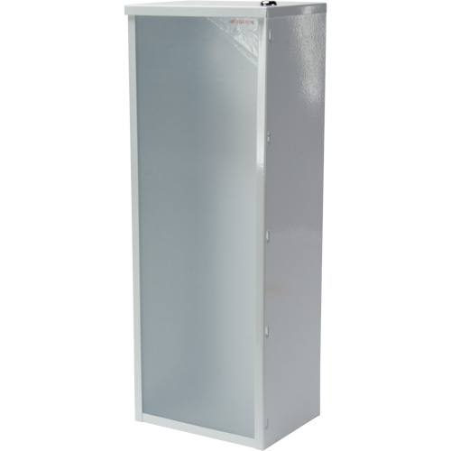 Armoire d'usage l&eacute;ger pour extincteur, 8" la x 22" h x 6" p Distribution Élite MP