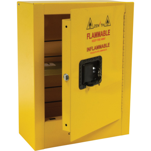 Armoire de s&eacute;curit&eacute; miniature pour produits inflammables, 2 gal., 1 Porte(s), 17" La x 22" h x 8" p Distribution Élite MP