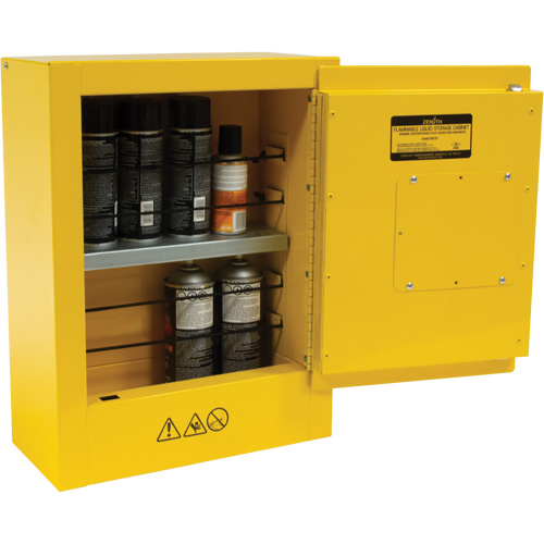 Armoire de s&eacute;curit&eacute; miniature pour produits inflammables, 2 gal., 1 Porte(s), 17" La x 22" h x 8" p Distribution Élite MP