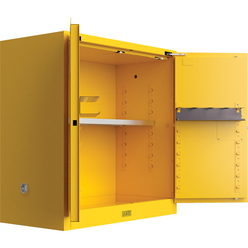 Armoire de s&eacute;curit&eacute; pour produits inflammables Utili-Guard+, 30 gal., 1 Porte(s), 43" La x 44" h x 22" p Distribution Élite MP