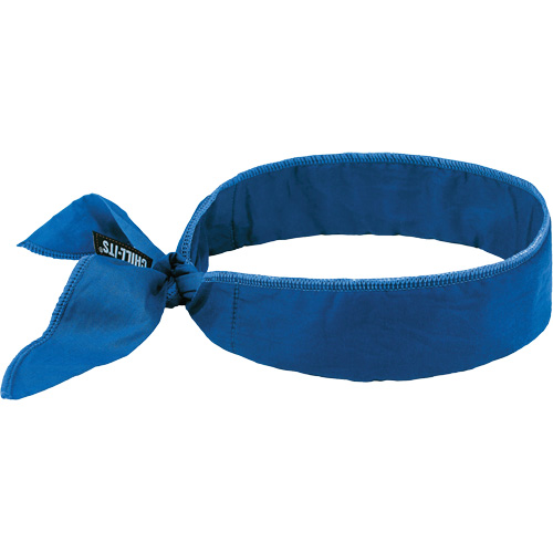 Chill-Its 6702 Cooling Headband with Embedded Polymers & Tie Closure, Blue Distribution Élite MP