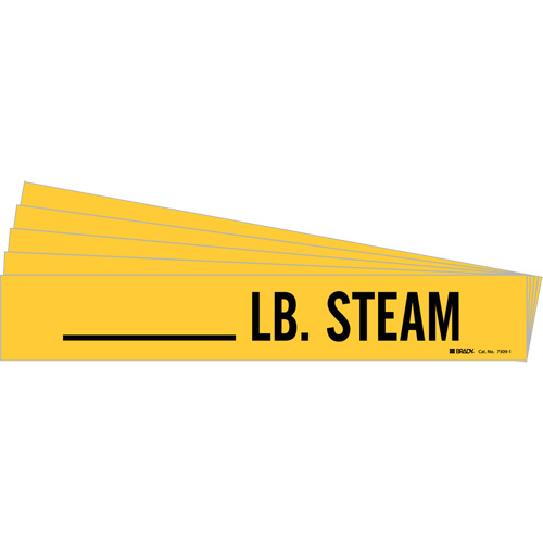Marqueurs de tuyau LB. Steam, Autocollant, 2-1/4" h x 2-3/4" la, Noir sur jaune Distribution Élite MP