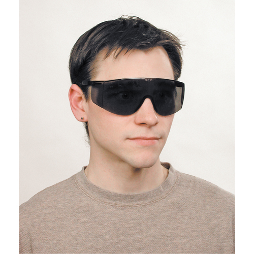 Lunettes de s&eacute;curit&eacute; Tacoma, Lentille Grise/fum&eacute;e, Anti-&eacute;gratignures, ANSI Z87+ Distribution Élite MP