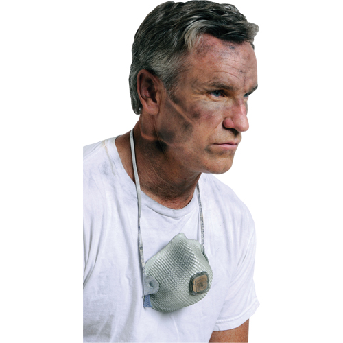 Respirateurs  contre les particules 2700, N95, Certifi&eacute; NIOSH, Grand/Moyen Distribution Élite MP