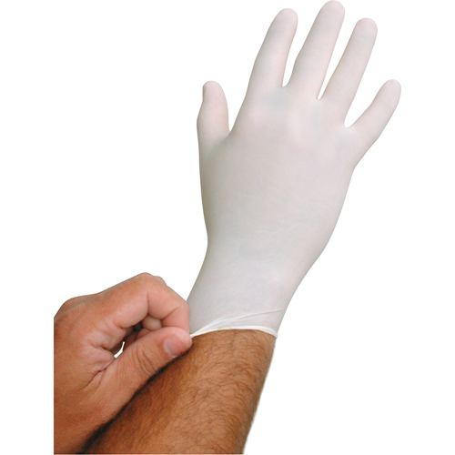 Gants jetables BioTek QRP, Grand, Latex, 6 mils, Sans poudre, Blanc Distribution Élite MP