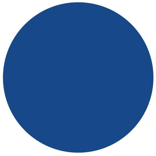 Round Write-On Labels, Circle, 1.5" L x 1.5" W, Blue Distribution Élite MP