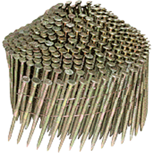 Plain Nails Distribution Élite MP