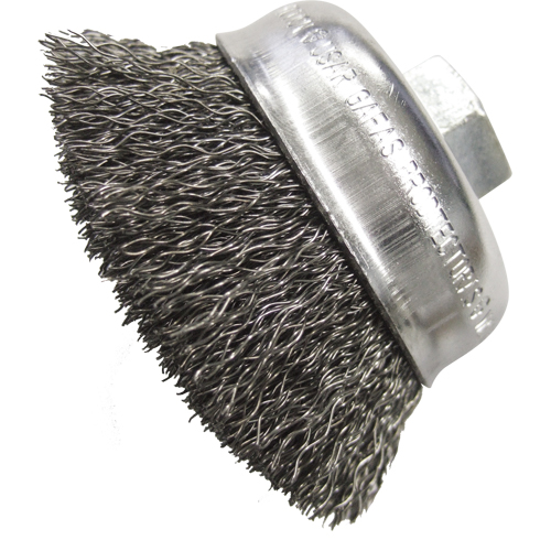 Brosses-boisseau &agrave; fils cr&ecirc;p&eacute;s 2 3/4" Distribution Élite MP
