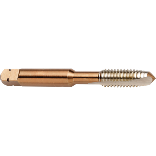 Taraud &agrave; entr&eacute;e h&eacute;licoidale, Acier rapide au cobalt, Filet de 3/8"-16, 2-15/16" l Distribution Élite MP