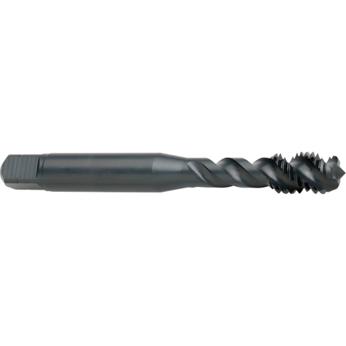 Taraud &agrave; cannelure en spirale 45°, Acier rapide au cobalt, Filet de M4x0,7, 53 mm l Distribution Élite MP