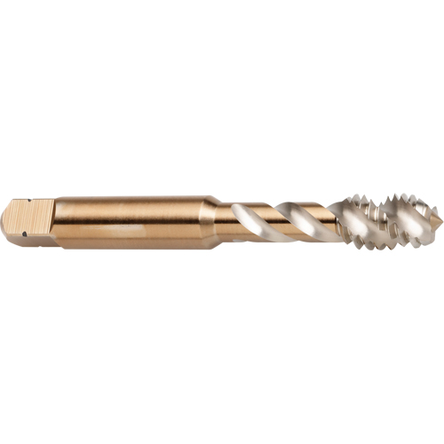Taraud &agrave; cannelure en spirale 45°, Acier rapide au cobalt, Filet de 1/4"-28, 2-1/2" l Distribution Élite MP