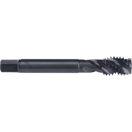 45° Spiral Flute Tap, High Speed Cobalt, 10-32 Thread, 2-3/8" L Distribution Élite MP