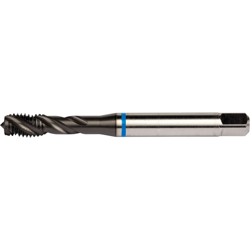 Taraud &agrave; cannelures h&eacute;licoidales Blue Shark, Acier rapide au cobalt, Filet de 1/4"-28, 3,15" l Distribution Élite MP