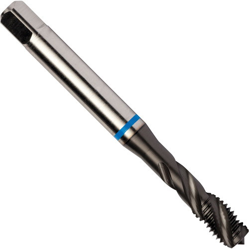 Taraud &agrave; cannelures h&eacute;licoidales Blue Shark, Acier rapide au cobalt, Filet de 1/4"-28, 3,15" l Distribution Élite MP