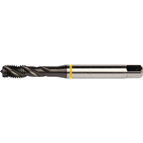 Yellow Shark Spiral Flute Tap, High Speed Cobalt, 1/4"-20 Thread, 3.15" L Distribution Élite MP