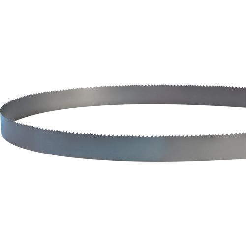 Lame soud&eacute;e pour scie &agrave; ruban, Bim&eacute;tal, 14' lo x 1" la x 4 - 6 dents par pouce Distribution Élite MP