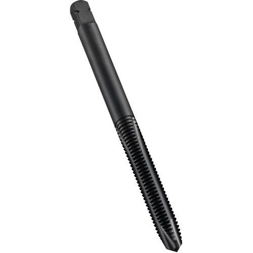 Spiral Point Tap, High Speed Cobalt, M10x1 Thread, 2-15/16" L Distribution Élite MP