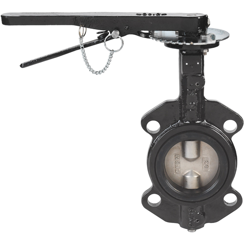 Robinets &agrave; papillon - s&eacute;rie BFV, Tuyau de 3", 225 PSI Distribution Élite MP