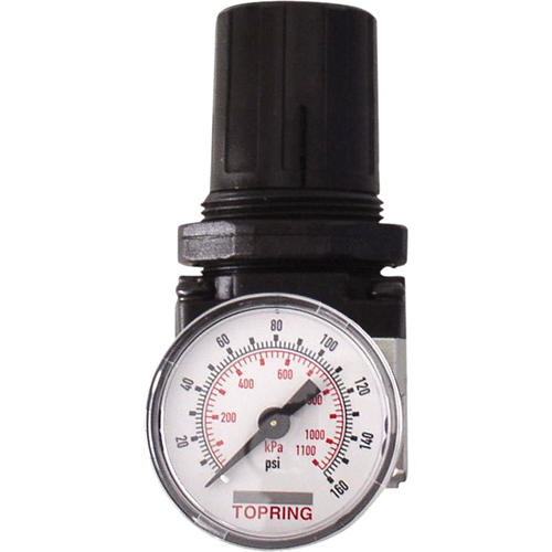R&eacute;gulateurs, 1" NPTF, PSI max. de 150 psi, Modulaire Distribution Élite MP