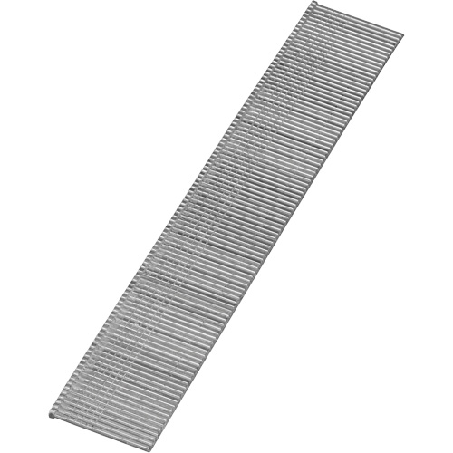 Clous &agrave; t&ecirc;te perdue Distribution Élite MP