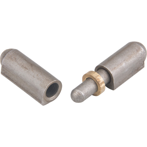 Weld-On Hinge, 0.315" Dia. x 1.575" L, Mild Steel w/Fixed Steel Pin Distribution Élite MP