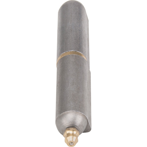 Charni&egrave;re &agrave; souder, 0,63" dia. x 3,937" lo, Acier doux a/goupille fixe en acier Distribution Élite MP