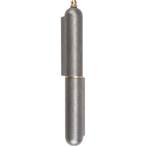 Charni&egrave;re &agrave; souder, 0,787" dia. x 5,906" lo, Acier doux a/goupille fixe en acier Distribution Élite MP