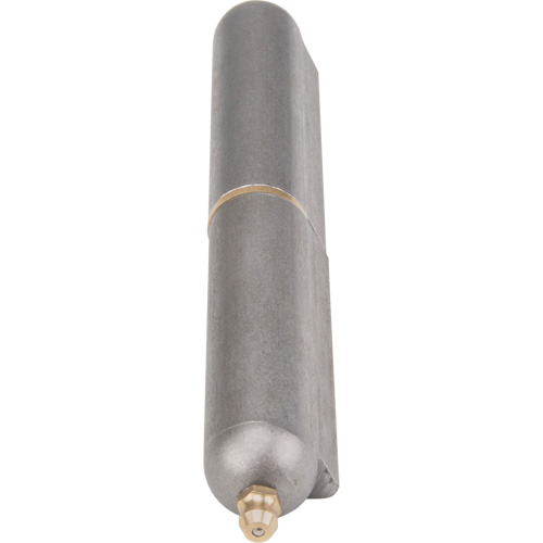 Charni&egrave;re &agrave; souder, 0,787" dia. x 5,906" lo, Acier doux a/goupille fixe en acier Distribution Élite MP