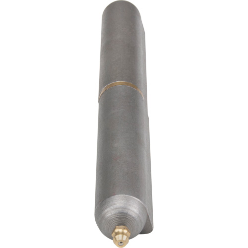 Charni&egrave;re &agrave; souder, 0,906" dia. x 7,874" lo, Acier doux a/goupille fixe en acier Distribution Élite MP