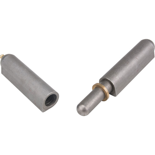 Charni&egrave;re &agrave; souder, 0,906" dia. x 7,874" lo, Acier doux a/goupille fixe en acier Distribution Élite MP