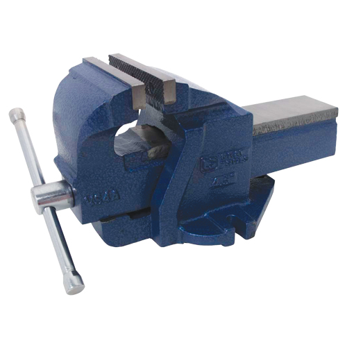 Ductile Iron Mechanics Bench Vise, 4-1/2" Jaw Width, 2-3/5" Throat Depth Distribution Élite MP
