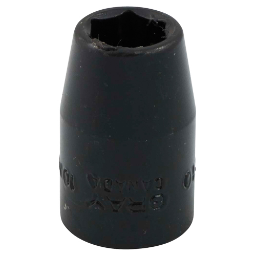 Douille, Chocs, 10 mm, Prise 3/8", 6 pans Distribution Élite MP