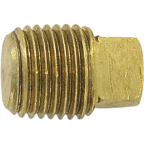 Pipe Plugs (Square Head), 1/4" Dia., Brass Distribution Élite MP