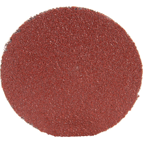 Disque 361F Roloc, 1-1/2" dia., Grain P100, Oxyde d'aluminium Distribution Élite MP