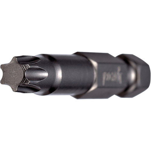 Embout pour outil &eacute;lectrique, Torx, Embout T-6, Prise 1/4", Longueur 2" Distribution Élite MP