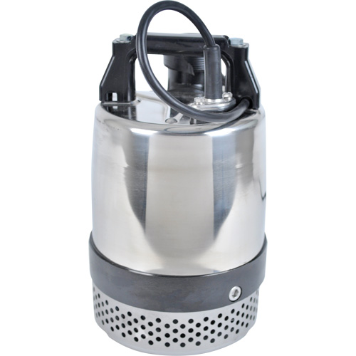 Pompe utilitaire s&eacute;rie FLS/FS, 1 CV, 80 gal./min, 115 V, 10 A Distribution Élite MP