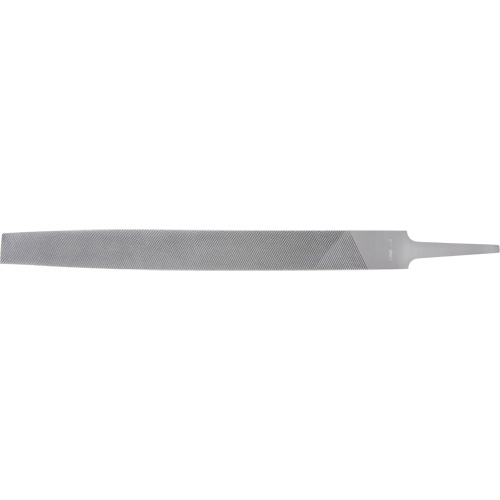Lime, Demi-ronde, 8" l, Coupe B&acirc;tarde Distribution Élite MP