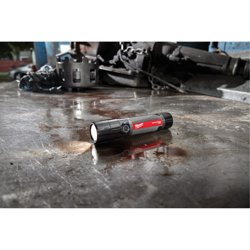 Lampe de poche compacte compatible USB, DEL, 800 lumens, Piles Rechargeable Distribution Élite MP