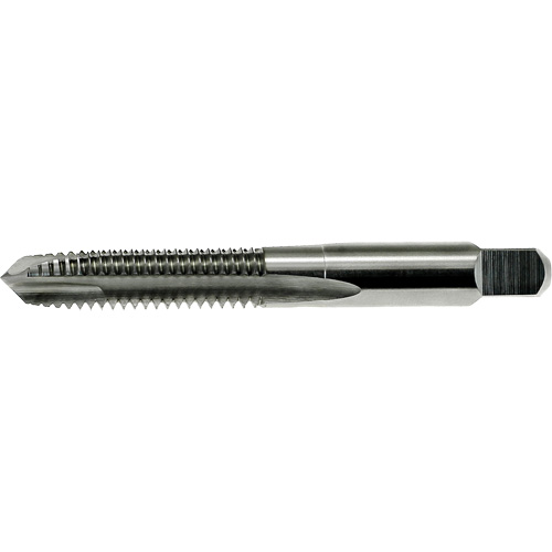 Taraud &agrave; pointe spiral&eacute;e DRILLCO, Acier rapide, Filet de M3,5x0,6 Distribution Élite MP