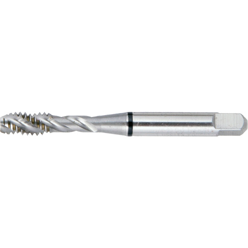 Taraud BT super haute performance &agrave; cannelure spiral&eacute;e DRILLCO, Acier rapide, Filet de 12-28 Distribution Élite MP
