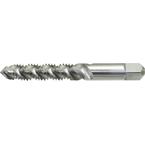 Taraud &agrave; main &agrave; cannelure spiral&eacute;e DRILLCO, Acier rapide, Filet 1/4"-20 Distribution Élite MP