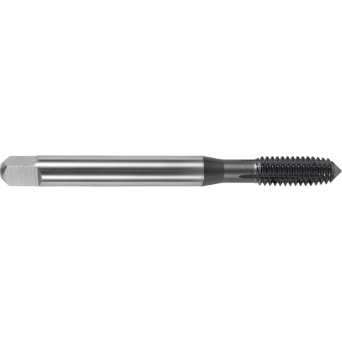 Taraud Nitro Max DRILLCO, Cobalt, Filet 4-40 Distribution Élite MP