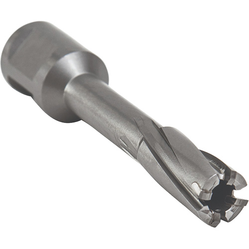 Core Cut Annular Cutter with Weldon Shank, 12 mm Diameter, Carbide, 55 mm Depth of Cut, 3/4" Shank Distribution Élite MP