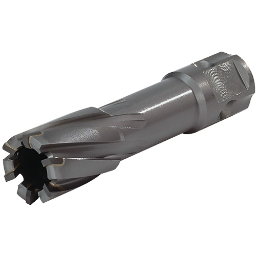 Universal Shank Annular Cutter, 24 mm Diameter, Carbide, 55 mm Depth of Cut, 3/4" Shank Distribution Élite MP