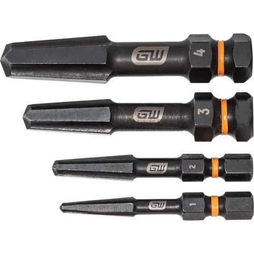 Bolt Biter Screw Extractor Set, High Speed Steel, 4 Pieces Distribution Élite MP